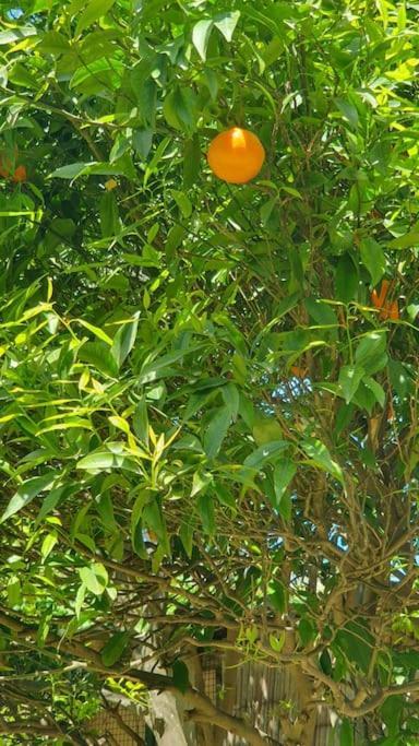 Casa Al Mare Villa Capri Ngoại thất bức ảnh